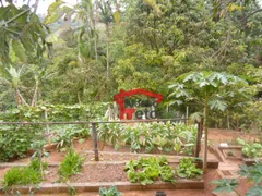 Fazenda / Sítio / Chácara com 2 Quartos à venda, 400m² no Jardim Santo Antônio , Itapevi - Foto 32