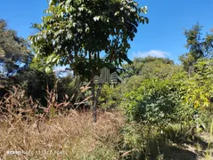 Fazenda / Sítio / Chácara à venda, 12000m² no Zona Rural, Itatiaiuçu - Foto 7