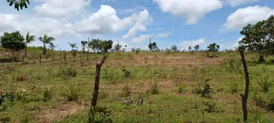 Fazenda / Sítio / Chácara com 4 Quartos à venda, 30000m² no Area Rural do Paranoa, Brasília - Foto 6