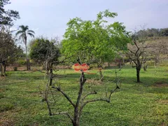 Fazenda / Sítio / Chácara com 4 Quartos à venda, 6050m² no MOMBUCA, Itatiba - Foto 42