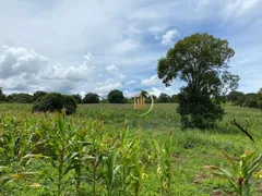 Fazenda / Sítio / Chácara com 3 Quartos à venda, 1016400m² no Zona Rural, Luziânia - Foto 19