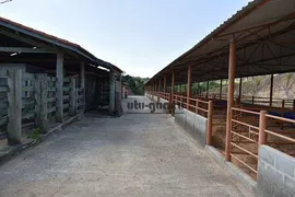 Fazenda / Sítio / Chácara com 5 Quartos à venda, 1258400m² no , Porto Feliz - Foto 16