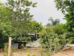 Fazenda / Sítio / Chácara com 4 Quartos à venda, 144000m² no Zona Rural, Faina - Foto 26