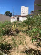 Terreno / Lote Comercial à venda, 250m² no Jardim Moacyr Arruda, Indaiatuba - Foto 3