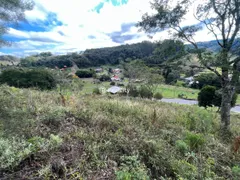 Terreno / Lote / Condomínio à venda, 13000m² no Vale dos Vinhedos, Bento Gonçalves - Foto 47