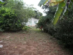 Fazenda / Sítio / Chácara com 3 Quartos à venda, 1530m² no Pavão-Canguera, São Roque - Foto 2