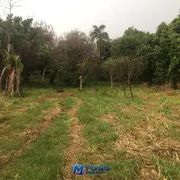 Fazenda / Sítio / Chácara à venda, 3200m² no Vila Sao Jose, São José do Rio Preto - Foto 35