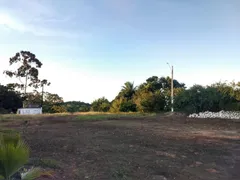 Fazenda / Sítio / Chácara com 2 Quartos à venda, 2500m² no Area Rural de Vitoria do Santo Antao, Vitória de Santo Antão - Foto 50