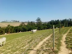 Fazenda / Sítio / Chácara com 3 Quartos à venda, 180000m² no Centro, Capivari - Foto 13