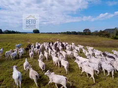 Fazenda / Sítio / Chácara à venda, 188000000m² no Zona Rural, Goiatins - Foto 11