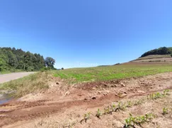 Fazenda / Sítio / Chácara à venda, 22500m² no , Gramado - Foto 3