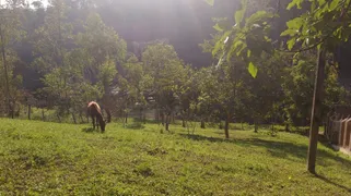 Fazenda / Sítio / Chácara com 3 Quartos à venda, 5000m² no Vila Roschel, São Paulo - Foto 11