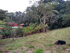 Fazenda / Sítio / Chácara com 3 Quartos à venda, 3100m² no Centro, São Roque - Foto 7