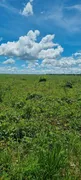 Fazenda / Sítio / Chácara com 3 Quartos à venda, 250m² no Zona Rural, Poconé - Foto 18