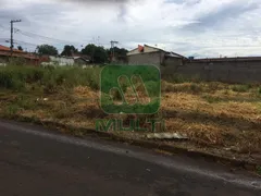 Terreno / Lote / Condomínio com 1 Quarto à venda, 320m² no Lagoinha, Uberlândia - Foto 1