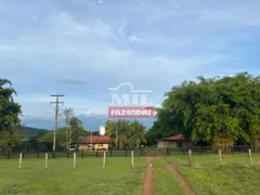 Fazenda / Sítio / Chácara com 3 Quartos à venda, 18488800m² no Zona Rural, Santana do Araguaia - Foto 17