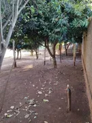 Fazenda / Sítio / Chácara com 1 Quarto à venda, 5000m² no Centro, Potirendaba - Foto 6