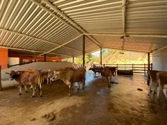 Fazenda / Sítio / Chácara com 4 Quartos à venda, 900m² no Secretário, Petrópolis - Foto 21