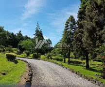 Fazenda / Sítio / Chácara à venda, 25m² no Linha 28, Gramado - Foto 6