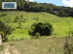 Fazenda / Sítio / Chácara com 4 Quartos à venda, 1150000m² no Corrego Sujo, Teresópolis - Foto 40