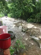 Fazenda / Sítio / Chácara com 8 Quartos para alugar, 180m² no Barreira, Guapimirim - Foto 21