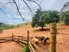 Fazenda / Sítio / Chácara com 2 Quartos à venda, 100m² no Varadouro, Jacareí - Foto 33