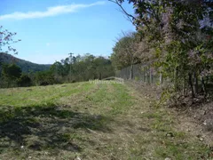 Fazenda / Sítio / Chácara com 3 Quartos à venda, 200m² no Sousas, Campinas - Foto 18