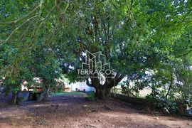 Fazenda / Sítio / Chácara com 3 Quartos à venda, 292m² no Jardim das Minas, Itupeva - Foto 102