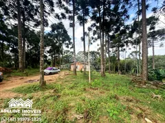 Fazenda / Sítio / Chácara com 2 Quartos à venda, 70m² no , Carambeí - Foto 3