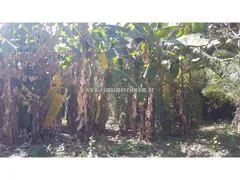 Fazenda / Sítio / Chácara com 2 Quartos à venda, 90000m² no Varginha, Santo Antônio do Leverger - Foto 24