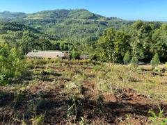 Terreno / Lote / Condomínio à venda, 1000m² no , Barão - Foto 6