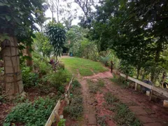 Fazenda / Sítio / Chácara com 3 Quartos à venda, 6000m² no Jardim Colonia, Jacareí - Foto 16
