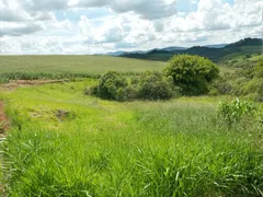 Fazenda / Sítio / Chácara com 2 Quartos à venda, 75m² no Zona Rural, Lambari - Foto 35