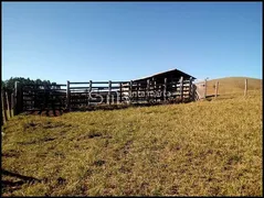 Fazenda / Sítio / Chácara com 5 Quartos à venda, 1m² no Rocinha, Guaratinguetá - Foto 9