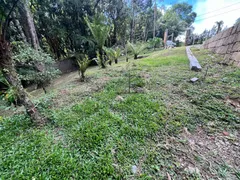 Fazenda / Sítio / Chácara com 2 Quartos à venda, 60m² no Vila Franca, Piraquara - Foto 19