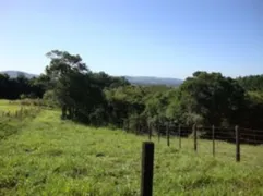 Terreno / Lote / Condomínio à venda, 5000m² no Chapéu do Sol, Porto Alegre - Foto 11