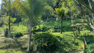 Fazenda / Sítio / Chácara com 4 Quartos à venda, 50000m² no Vargem Grande, Rio de Janeiro - Foto 6