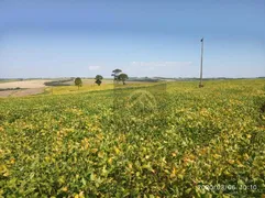 Fazenda / Sítio / Chácara à venda, 2420000m² no Centro, Cruzeiro do Oeste - Foto 3