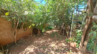 Fazenda / Sítio / Chácara com 2 Quartos à venda, 350m² no Residencial Vista Alegre I Zona Rural, São José do Rio Preto - Foto 31