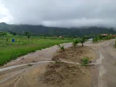 Terreno / Lote Comercial à venda, 22000m² no Campinho da Serra II, Serra - Foto 6