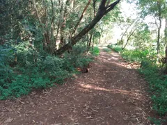 Fazenda / Sítio / Chácara à venda, 1500m² no Zona Rural, Jataizinho - Foto 16