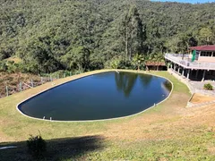 Fazenda / Sítio / Chácara com 4 Quartos à venda, 30000m² no Rio Novo, Águas Mornas - Foto 4