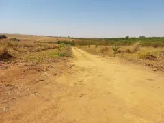 Fazenda / Sítio / Chácara com 2 Quartos à venda, 20000m² no Setor Central , Bela Vista de Goiás - Foto 9