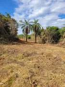 Terreno / Lote Comercial à venda, 20000m² no Zona Rural, Baldim - Foto 14