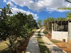 Fazenda / Sítio / Chácara com 3 Quartos à venda, 18000m² no Jardim Tropical, Nova Iguaçu - Foto 2