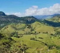 Fazenda / Sítio / Chácara com 3 Quartos à venda, 720000m² no Zona Rural, Mar de Espanha - Foto 9