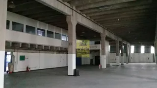 Galpão / Depósito / Armazém para alugar, 5807m² no Tucuruvi, São Paulo - Foto 12