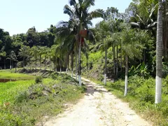 Fazenda / Sítio / Chácara com 4 Quartos à venda, 872400m² no Zona Rural, Juquiá - Foto 7