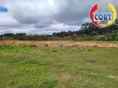 Terreno / Lote Comercial à venda, 11887m² no Rio Abaixo, Itaquaquecetuba - Foto 2