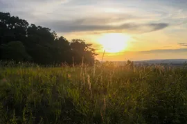 Terreno / Lote / Condomínio à venda, 25000m² no Zona Rural, Pardinho - Foto 13